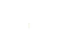 Leborgne Pince à talon 146500 – aluminium 1,50 m