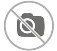 Pince coupante EXPERT 160mm n/a G