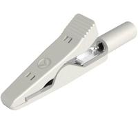 Pince crocodile miniature 8 A blanc Hirschmann Test & Measurement 930318107 Plage de serrage max.: 4 mm Longueur: 41.5 mm 1 pc(s)