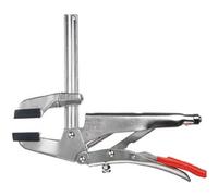 Pince-étau parallèle GRZ - BESSEY - Capacité de serrage 200mm - Portée 65mm - Mors dentés