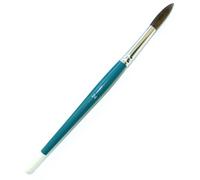 Tristar Série 202 Lot de 10 Pinceaux écoliers poils de poney naturels n°24 Vert