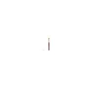 Generique Pinceau Iris Gold Pébéo – Plat – N° 10