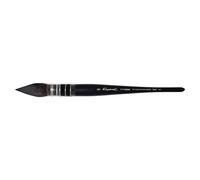 Raphaël Pinceaux Soft Aqua Quills Taille 6