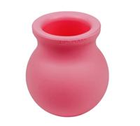 Pinceau Lèvres Silicone - Applicateur Maquillage Précis | Accessoire Beauté Massage Pulpeuse | Outil Soin Cosmétique Voyage Soirée Photo Femmes Filles Bloggeuses