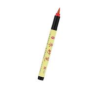 Pinceau liquide traditionnel chinois encre noire ou rouge pour écriture religieuse et art taoïste