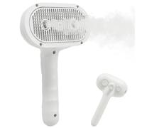 Pinceau pulvérisateur pour chat - Pour poils d'animaux domestiques - Brosse de massage avec vapeur ergonomique et multifonction - Peigne vapeur pour les amis et les amoureux