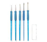 Pinceau Raphael Symbiose Rond série 8000. Set 5 pcs. NO. 2, 4, 6, 8, 10 et 1 Carte