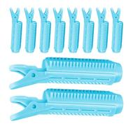 Pinces À Cheveux - 10 Pièces Pinces À Cheveux 10x3cm | Haiir Rollers Clip, Bangs Haiir Accessoires Volumisant, Outil De Coiffage Volumateur Pour Femmes Filles, Lifting Et Coiffage Rapide Des R