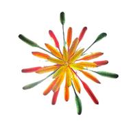 Pinces à cheveux antidérapantes avec fleurs de feu colorées, accessoires de coiffure, pour fêtes, vacances, mariage, voyage, été, anniversaire, Noël