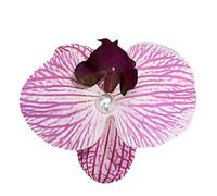 Pinces à cheveux en fleurs exotiques - Pétales de lys réalistes | Bijoux décoratifs botaniques pour , croisière, pinces de gardénia esthétiques, à thème, décorations d'occasions festive
