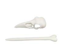 Pinces à Cheveux en Forme de Crâne,Forgon avec Crâne Animal Imprimé En 3D - Pour Cheveux Goth,Pour Festival Vêtements Effrayants Horreur Quotidien Événements Cosplay