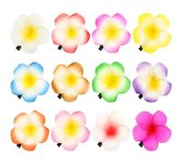 Pinces à Cheveux Fleur de Frangipanier Hawaïen 12 Pcs Eva Métal