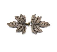 Pinces Pour ChâLe Et Cardigan 2 pièces Vintage Cardigan Clip femmes châle chemisier col pull écharpe fermoir charme brillant strass broche mode(C2)