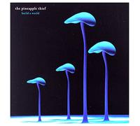 Pineapple Thief - Build a World [Import]