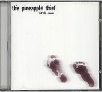 Pineapple Thief - Little Man