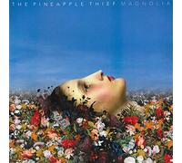 Pineapple Thief - Magnolia