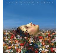 Pineapple Thief - Magnolia - Vinyl Record - 49 - F600z