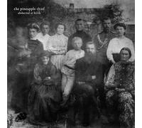The Pineapple Thief Abducted at Birth (Vinyl) 12" Album
