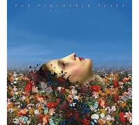 The Pineapple Thief – Magnolia – Vinyle noir – Kscope