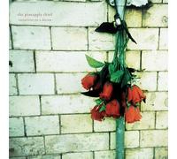 Pineapple Thief - Variations On A Dream [Vinyl Lp]