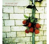 Pineapple Thief - Variations On A Dream [Compact Discs]