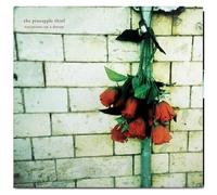 Pineapple Thief – Variations On A Dream – Vinyle LP noir – Kscope