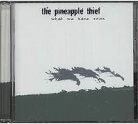 Pineapple Thief - What We Have Sown