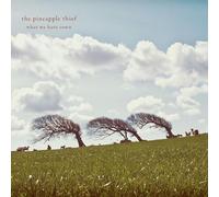 Pineapple Thief - What We Have Sown-Digi [Import]
