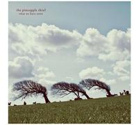 Pineapple Thief the – What We Have Sown – Kscope
