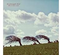 Pineapple Thief - What We Have Sown - Vinyl Record - 71 - F600z