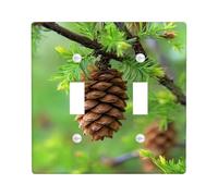 Pinecones Plaque de protection pour interrupteur/prise de courant, accents de forêt marron naturel pour décoration d'intérieur, plaques murales en thermoplastique, taille standard à double bascule