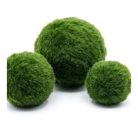 Pineeseatile Marimo Moss Balls Live, 3 pièces Live Marimo Moss Balls Aquarium pour Aquarium et décoration de Terrarium - Tailles Assorties (2, 4-4 cm)