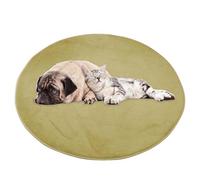ping bu Grand tapis rond pour chien et chat - En peluche douce et chaude - Antidérapant, apaisant - Lavable - 160 x 160 cm - Vert