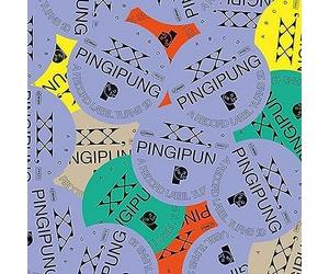 Pingipung - XX, Pingipung. a Record Label Turns 20 (2x10")