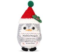 Pingouin Positif avec Bonnet de Père Noël, Pingouin Crochet avec Écharpe Animal au Crochet de Noël pour la Décoration de Fête de Noël Cadeau d'Encouragement