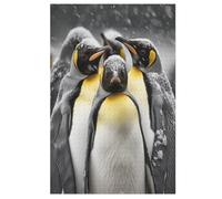 Pingouin Puzzles en Bois 1000 Pièces pour Adultes, Matériaux Recyclables De Qualité Supérieure Puzzle, Jeu en Famille, (78×53cm)