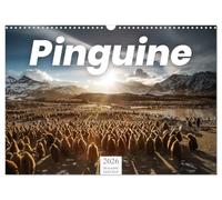 Pinguine - Die sympathischen Frack-Träger (Wandkalender 2026 DIN A3 quer), CALVENDO Monatskalender: Süße Tiere zum verlieben!