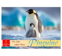 Pinguine - ein Jahr voller Meer (Tischkalender 2026 DIN A5 quer), CALVENDO Monatskalender: Die wunderbare Welt der kleinen Frackträger.