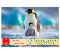 Pinguine - ein Jahr voller Meer (Wandkalender 2026 DIN A4 quer), CALVENDO Monatskalender: Die wunderbare Welt der kleinen Frackträger.