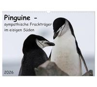 Pinguine - sympathische Frackträger im eisigen Süden (Wandkalender 2026 DIN A3 quer), CALVENDO Monatskalender: Abwechslungsreiche Aufnahmen ... Südgeorgiens und der Antarktischen Halbinsel