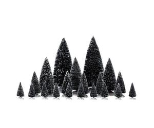 PINI ASSORTITI 21PZ - ASSORTED PINE TREES