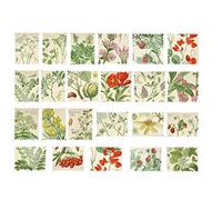PiniceCore 46pcs / Boîte Scrapbook Autocollants Auto-adhésifs Vintage Sticker Pack, Plantes Décoration Florale pour Scrapbook, Ordinateur Portable, Journal, Carterie