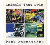 Pink Carnations