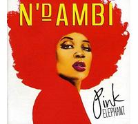Ndambi - Pink Elephant Edit