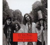 Pink Fairies - an Introduction to. [Import]