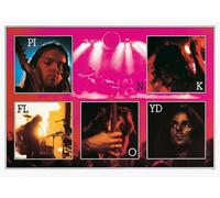 PINK FLOYD - 61x91cm - Affiche / Poster