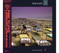 Pink Floyd - A Momentary Lapse. -Ltd [Import]