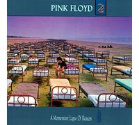 Pink Floyd - A Momentary Lapse of Reas
