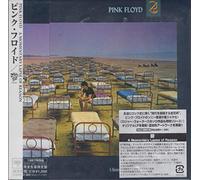 Pink Floyd - A Momentary Lapse of Reason