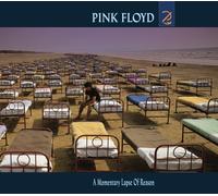 Pink Floyd - A Momentary Lapse Of Reason - 4 Panel Softpack / 12 Page Booklet